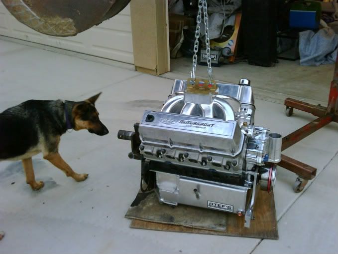 Engine Lift, Straps.